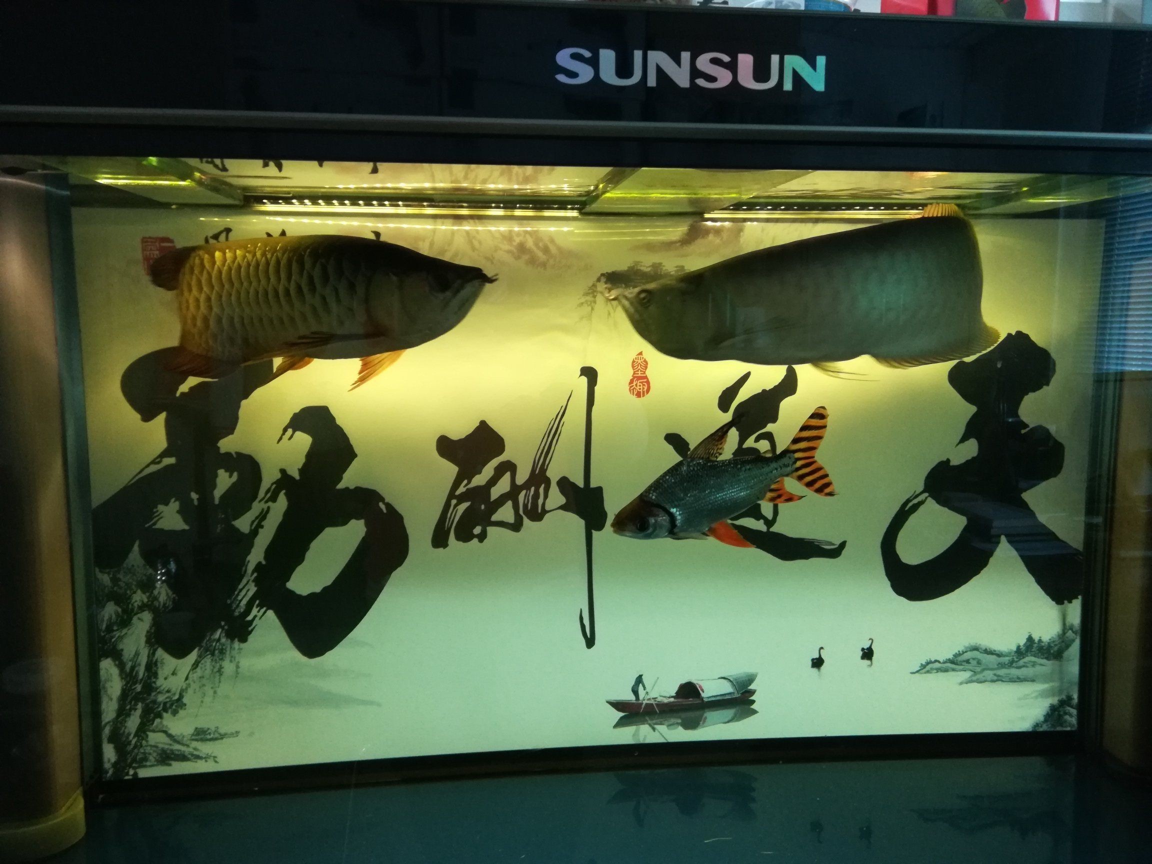曬2017年養(yǎng)魚賬單心情比錢重要