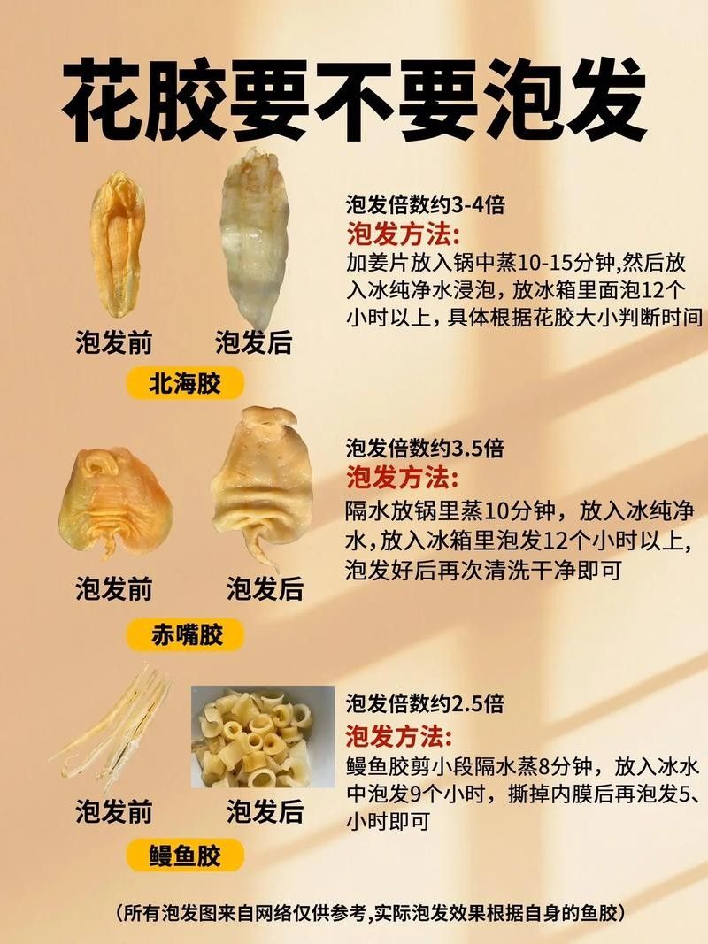 金龍魚膠多久泡發一次