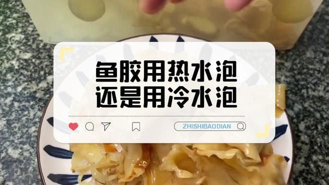 金龍魚膠多久泡發一次