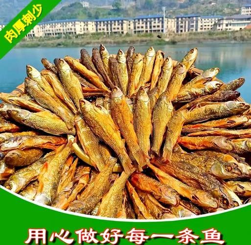 湖南郴州宜章特產(chǎn)年年有東江魚 觀賞魚百科 第4張 湖南郴州宜章特產(chǎn)年年有東江魚 湖南郴州宜章特產(chǎn)年年有東江魚 觀賞魚百科 第4張