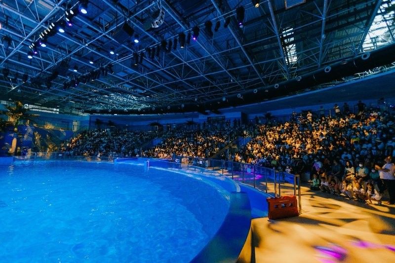 延吉哪個水族館龍魚好？祥龍魚場龍魚
