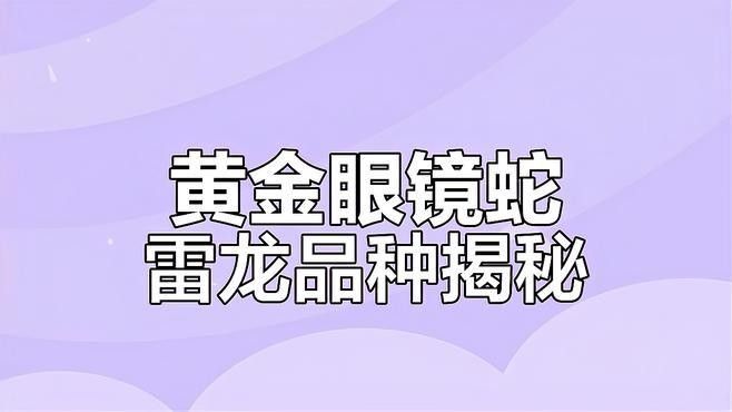 如何辨別雷龍魚的真偽？（如何辨別雷龍魚的真偽）