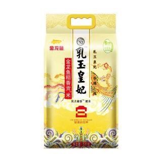 金龍魚乳玉皇妃系列有哪些規格 金龍魚乳玉皇妃系列有哪些規格 龍魚百科 第7張