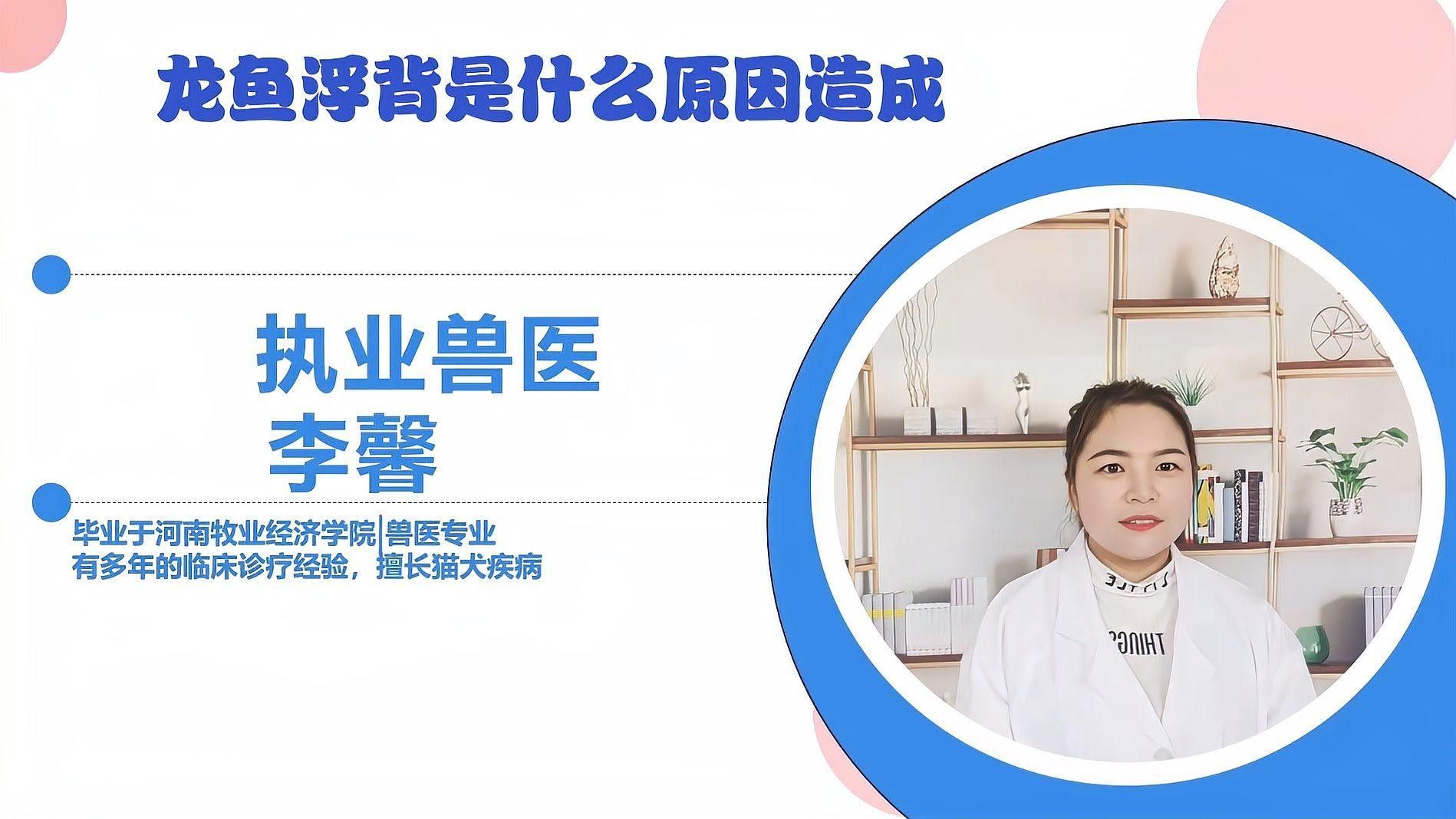 腹水病對(duì)龍魚(yú)有哪些具體影響