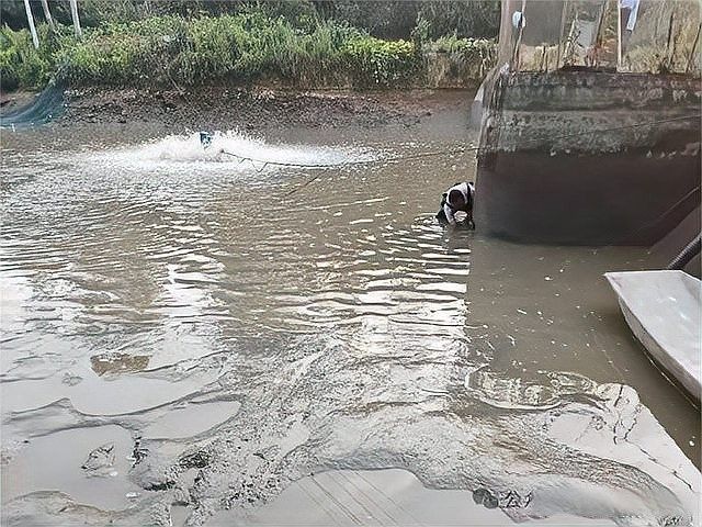 飛鳳魚嘴爛會傳染嗎