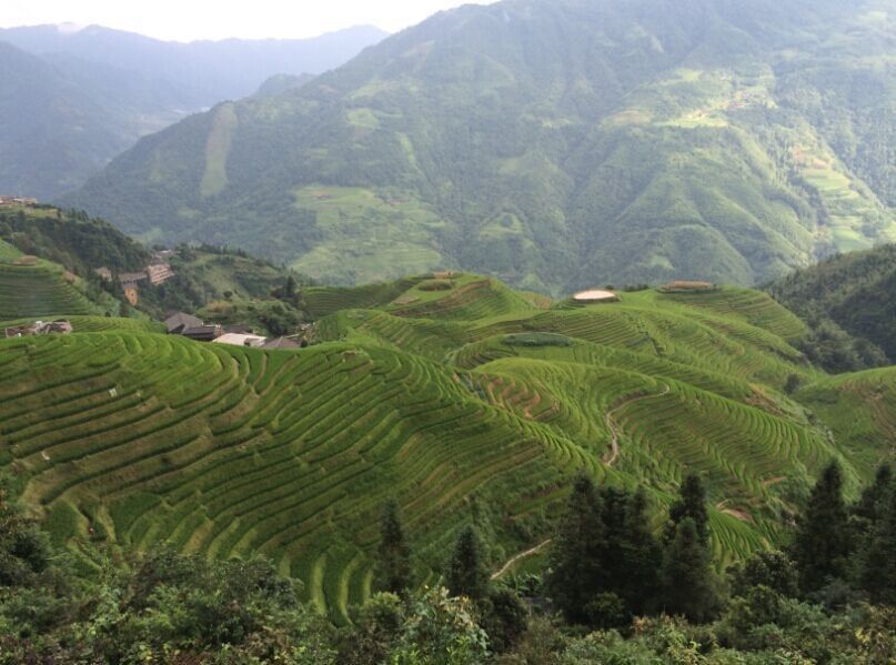 那曲龍勝（廣西桂林市龍勝各族自治縣矮嶺溫泉景區內百度地圖-景點）
