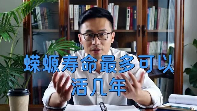 火龍魚蠑螈的壽命有多長？（火龍魚蠑螈的壽命是多久？）