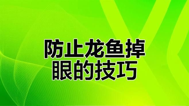 哪些金龍魚品種容易掉眼