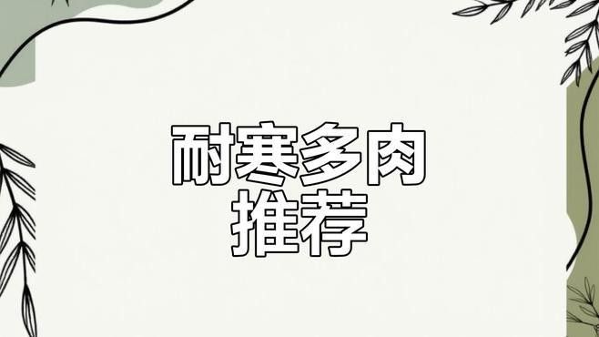 耐寒品種中哪個最好養？