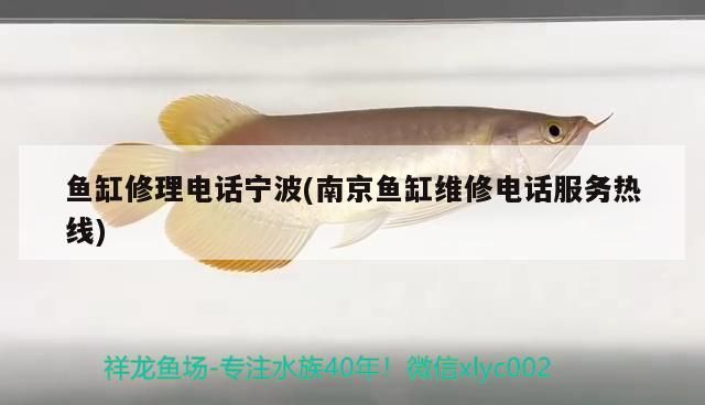 魚缸修理電話寧波(<strong><mark>南京</mark></strong>魚缸維修電話服務熱線)