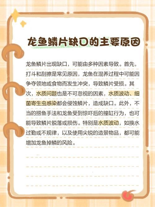 龍魚鱗片有缺口怎么回事啊圖片