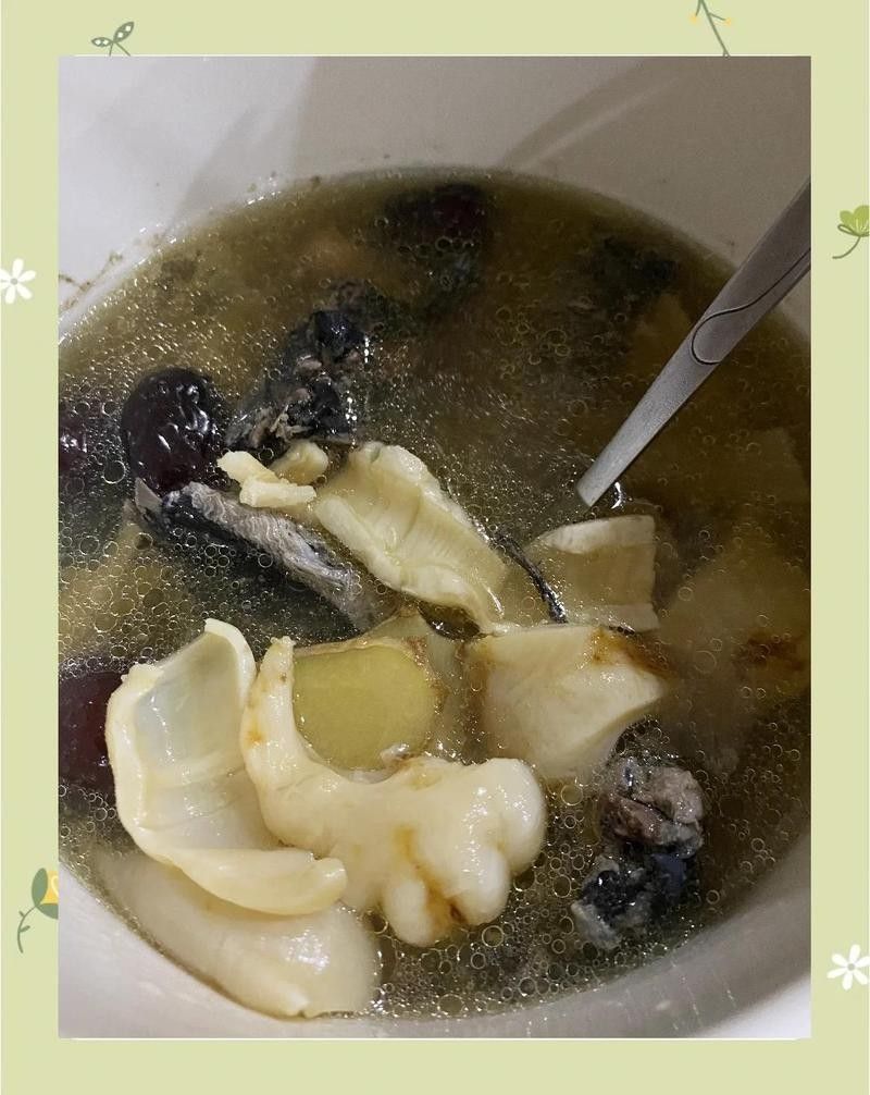 金龍魚膠 金龍魚膠 觀賞魚百科 第3張