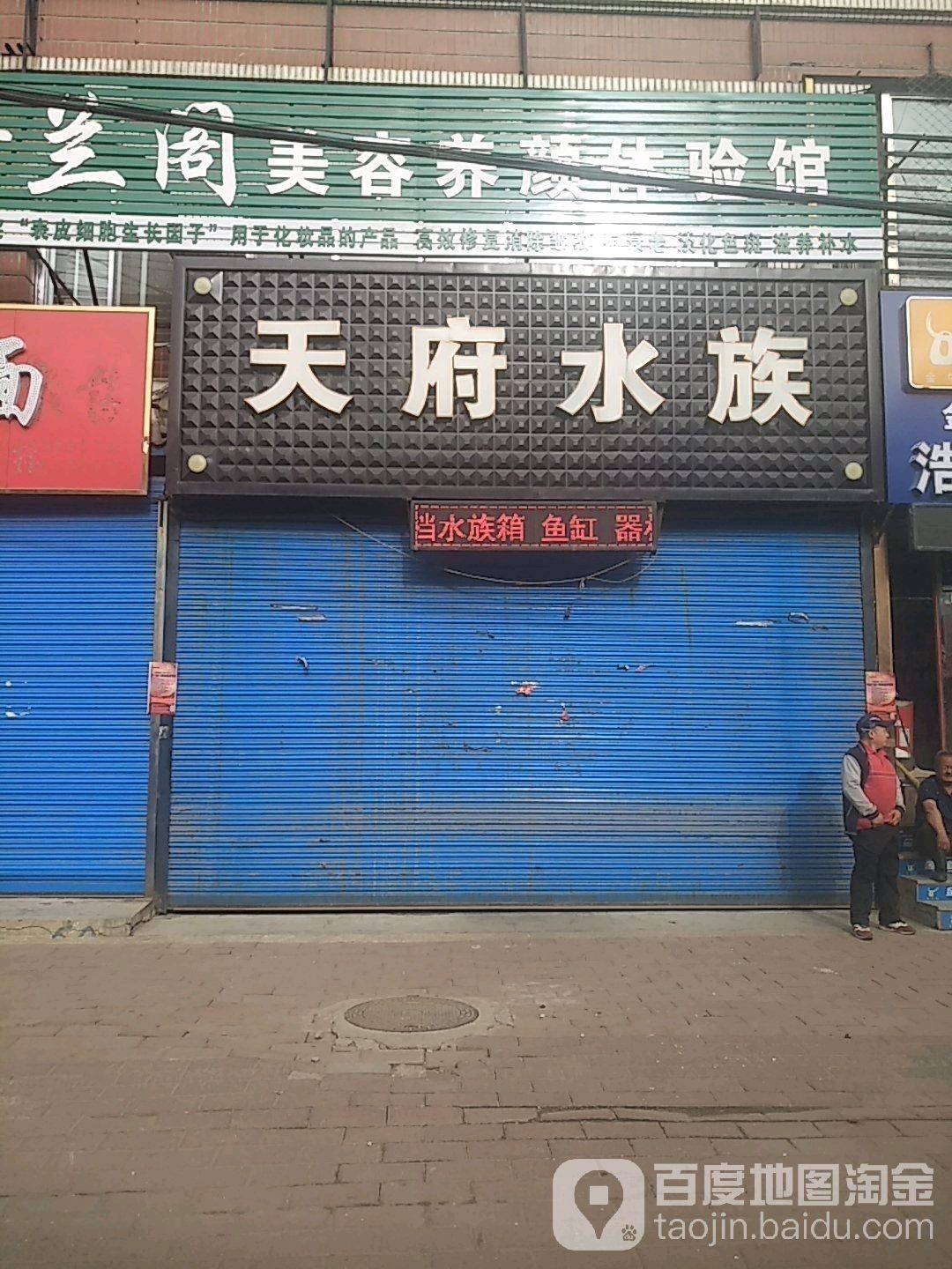 尚志哪個水族館龍魚好？祥龍魚場龍魚 尚志哪個水族館龍魚好？祥龍魚場龍魚 龍魚百科 第1張