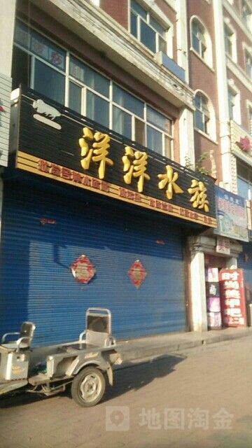 尚志哪個水族館龍魚好？祥龍魚場龍魚 尚志哪個水族館龍魚好？祥龍魚場龍魚 龍魚百科 第3張