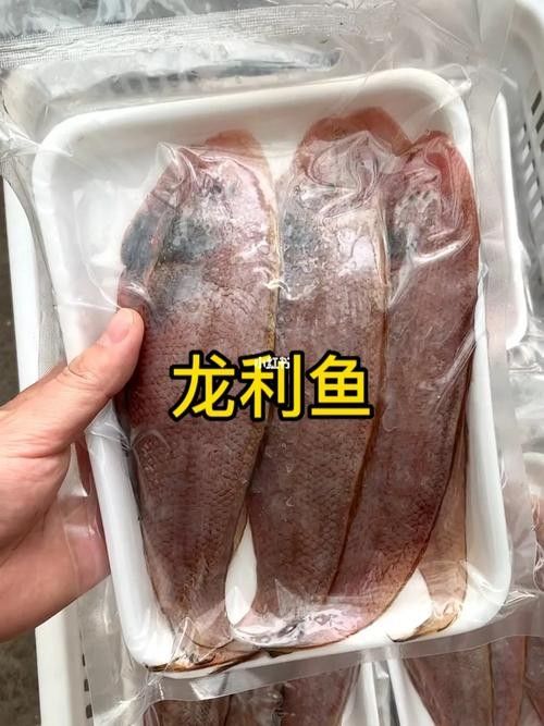 青島龍利魚踏板魚