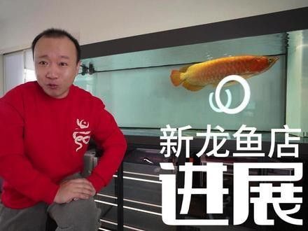 碭山哪個水族館龍魚好？祥龍魚場龍魚 碭山哪個水族館龍魚好？祥龍魚場龍魚 龍魚百科 第12張
