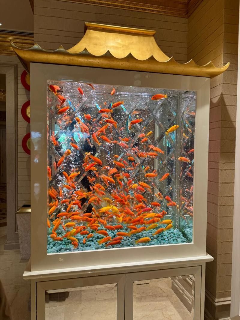金龍魚缸背景貼如何固定？（如何固定金龍魚缸背景貼）