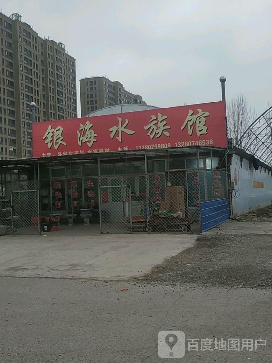 壽光哪個水族館龍魚好？祥龍魚場龍魚 壽光哪個水族館龍魚好？祥龍魚場龍魚 龍魚百科 第8張