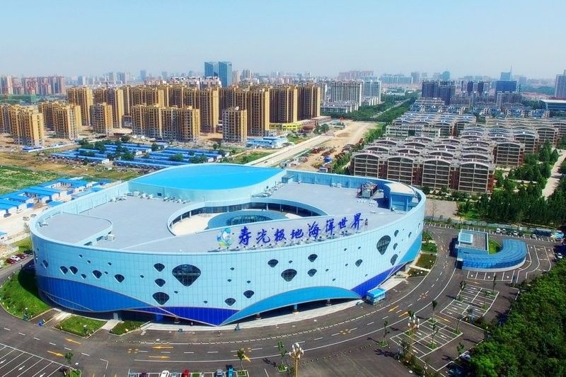 壽光哪個水族館龍魚好？祥龍魚場龍魚 壽光哪個水族館龍魚好？祥龍魚場龍魚 龍魚百科 第9張
