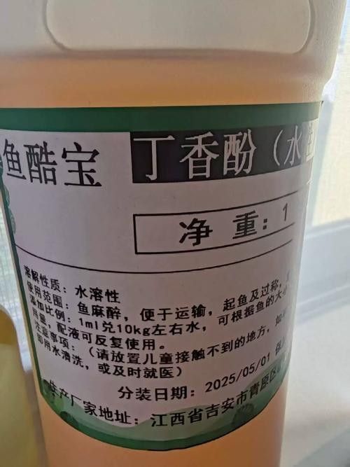 哪里可以買到正品龍魚麻醉劑