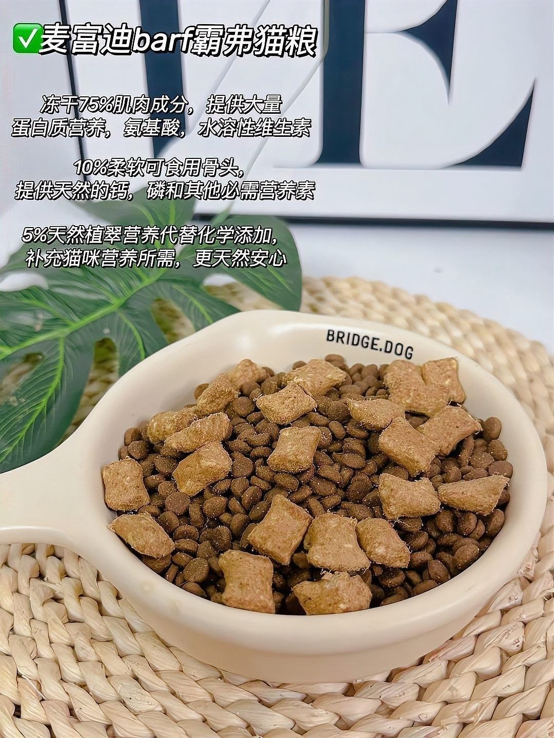 混養初期需要多久適應
