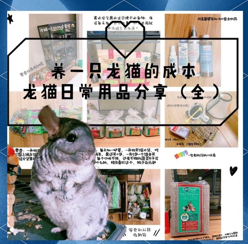 龍貓多久換一次墊料？