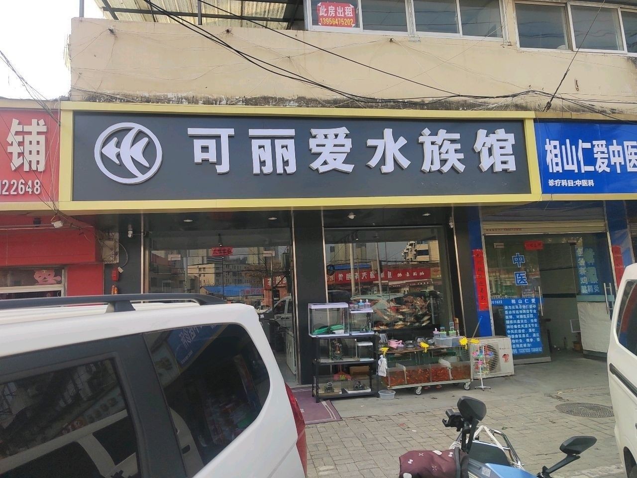 杜集哪個水族館龍魚好？祥龍魚場龍魚