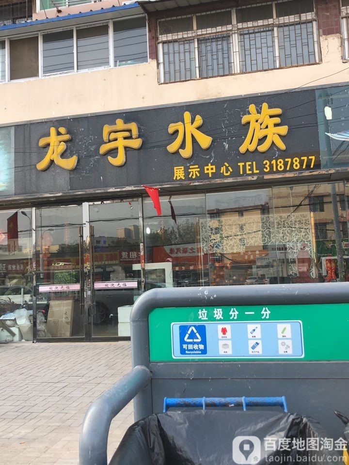 杜集哪個水族館龍魚好？祥龍魚場龍魚