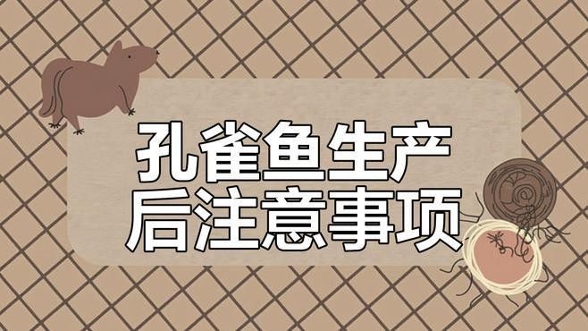 孔雀魚產(chǎn)后需要單獨(dú)靜養(yǎng)嗎？