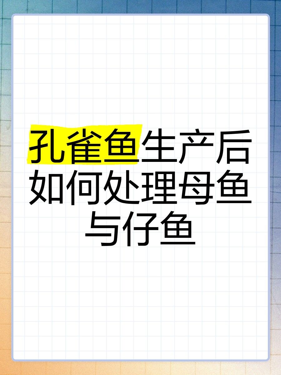 金龍魚擺件如何保養和清洗：金龍魚擺件的保養之道