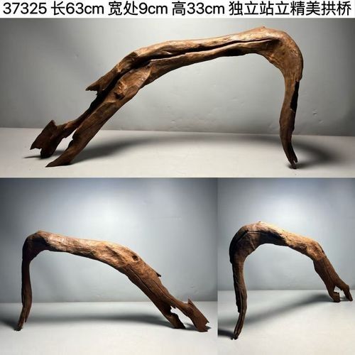 給我推薦幾款適合龍魚缸的沉木（適合龍魚缸的沉木推薦）