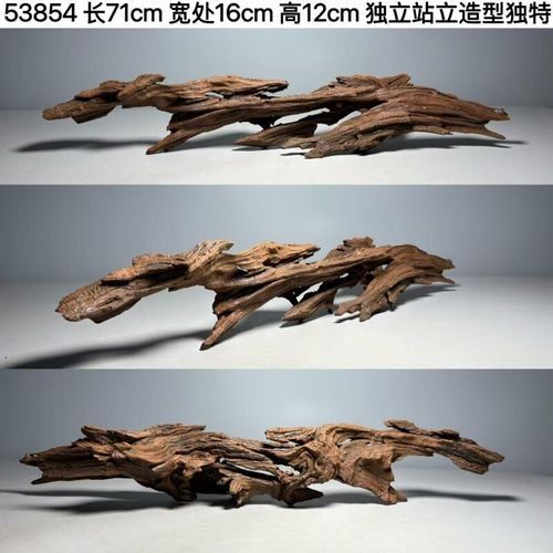 金龍魚擺件如何保養和清洗：金龍魚擺件的保養之道