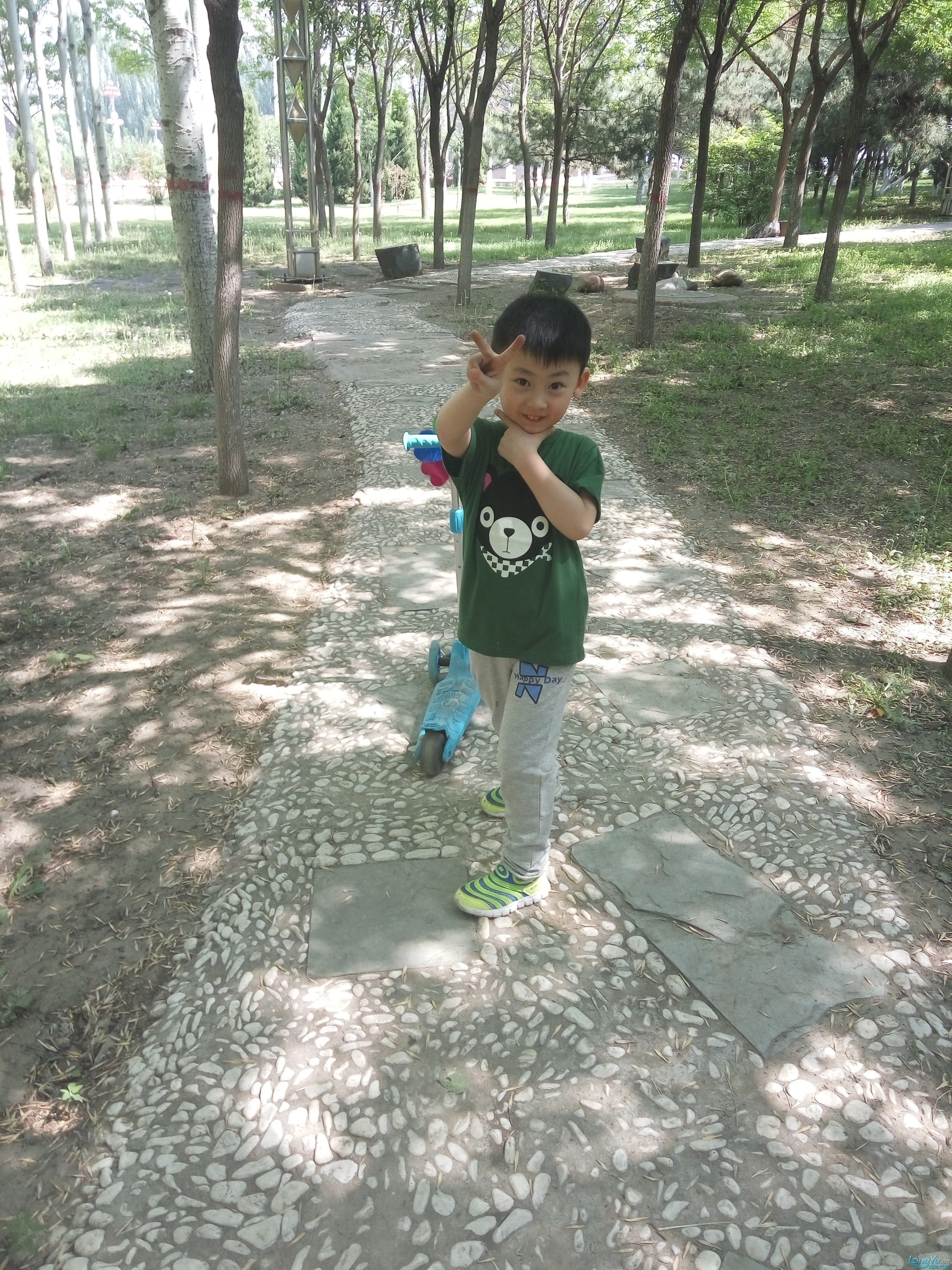 龍巔水草感恩大行動+家和萬事興（龍巔水草感恩大行動）