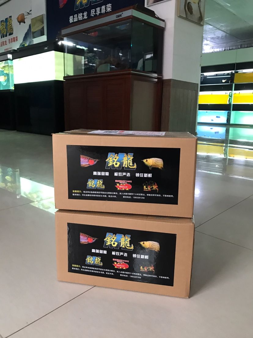 龍魚吃了表現(xiàn)好就是最高的性價比（龍魚健康表現(xiàn)好時所體現(xiàn)的性價比） 龍魚吃了表現(xiàn)好就是最高的性價比（龍魚健康表現(xiàn)好時所體現(xiàn)的性價比） 觀賞魚百科 第5張