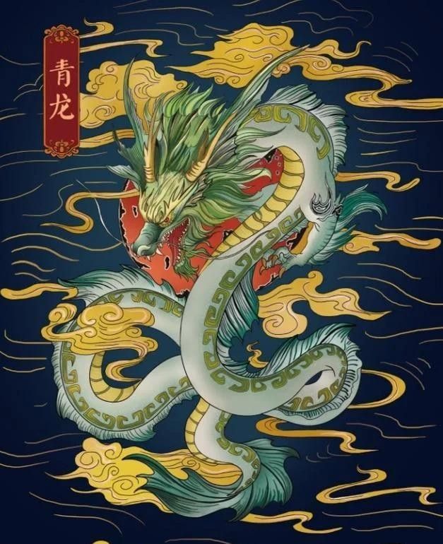 寶石龍魚的飼養成本高嗎？，寶石龍魚的飼養成本