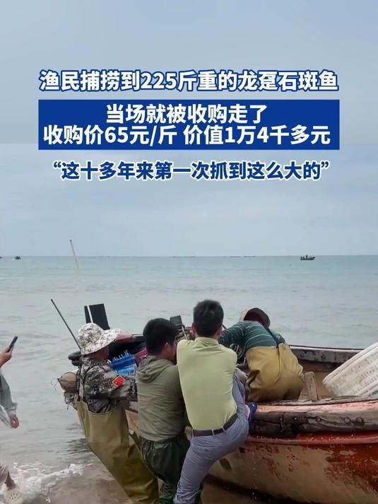 龍鼎魚(yú)一斤多少錢(qián)