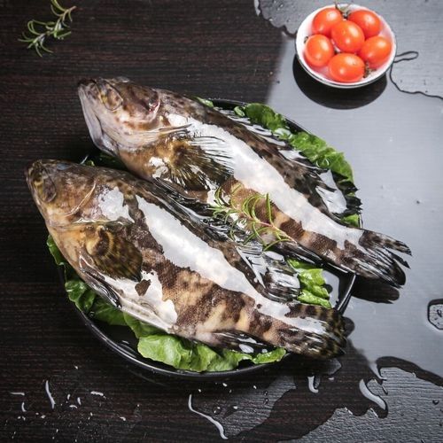 龍鼎魚(yú)一斤多少錢(qián)