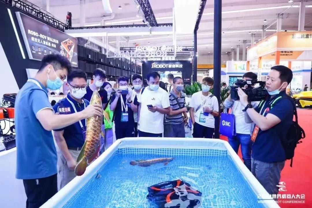 金龍魚仿生機器人的市場價格是多少（龍魚仿生機器人市場價格）
