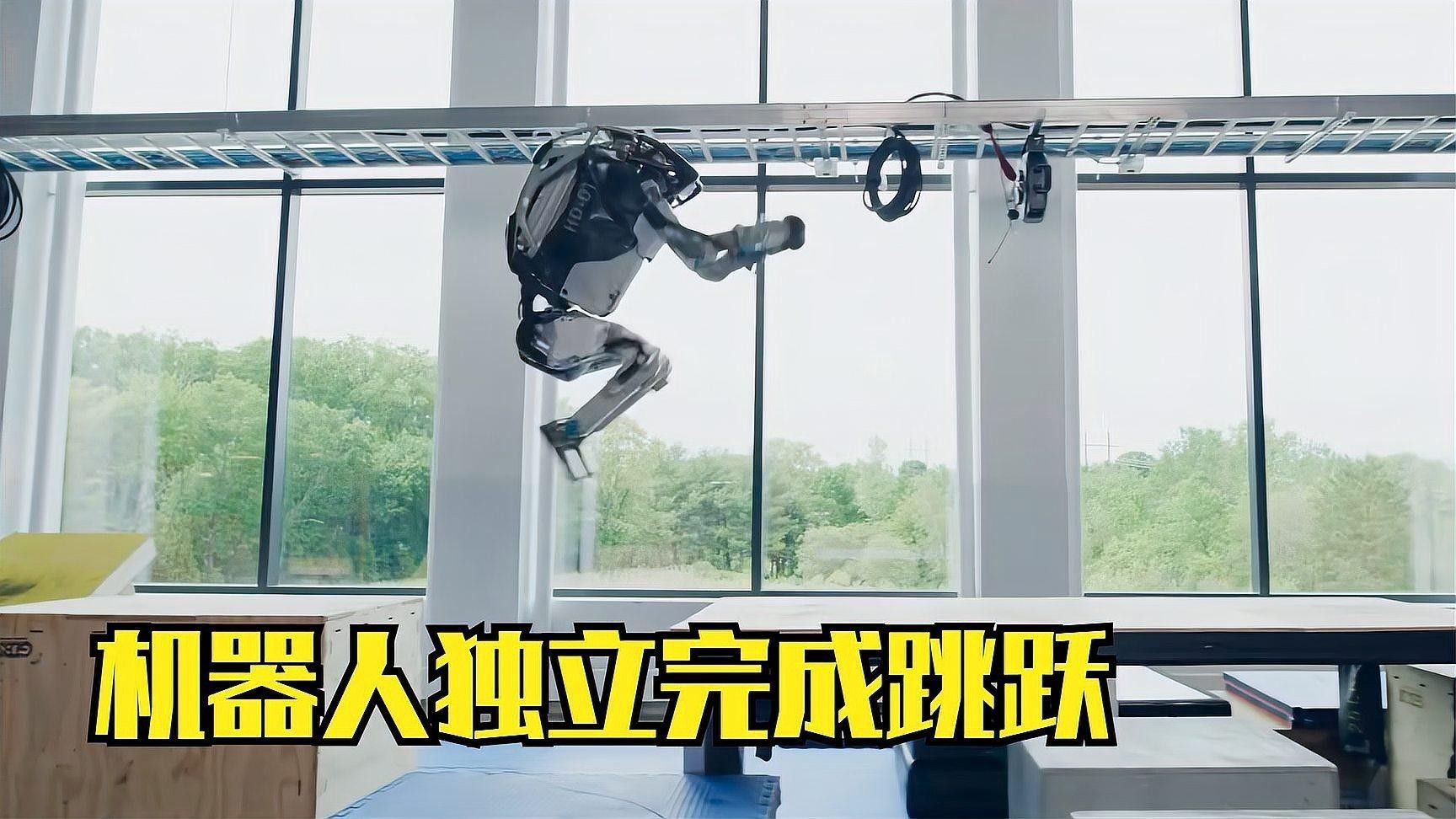 金龍魚仿生機器人的市場價格是多少（龍魚仿生機器人市場價格）