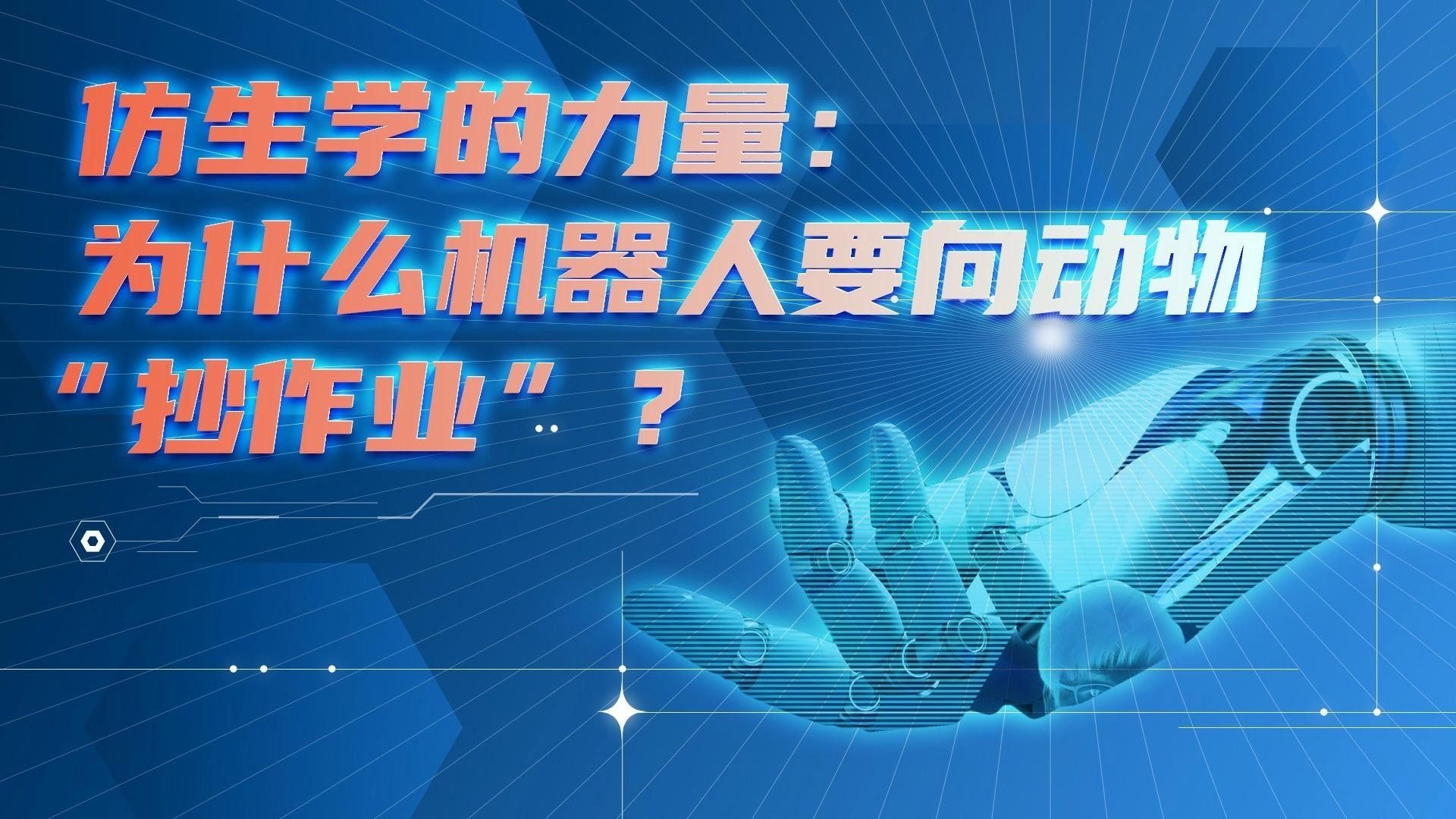 金龍魚仿生機器人的市場價格是多少（龍魚仿生機器人市場價格）
