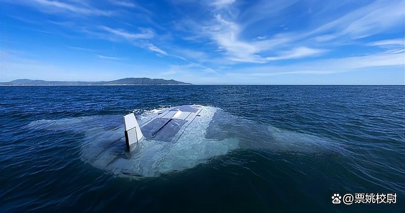 金龍魚仿生機器人的市場價格是多少（龍魚仿生機器人市場價格）