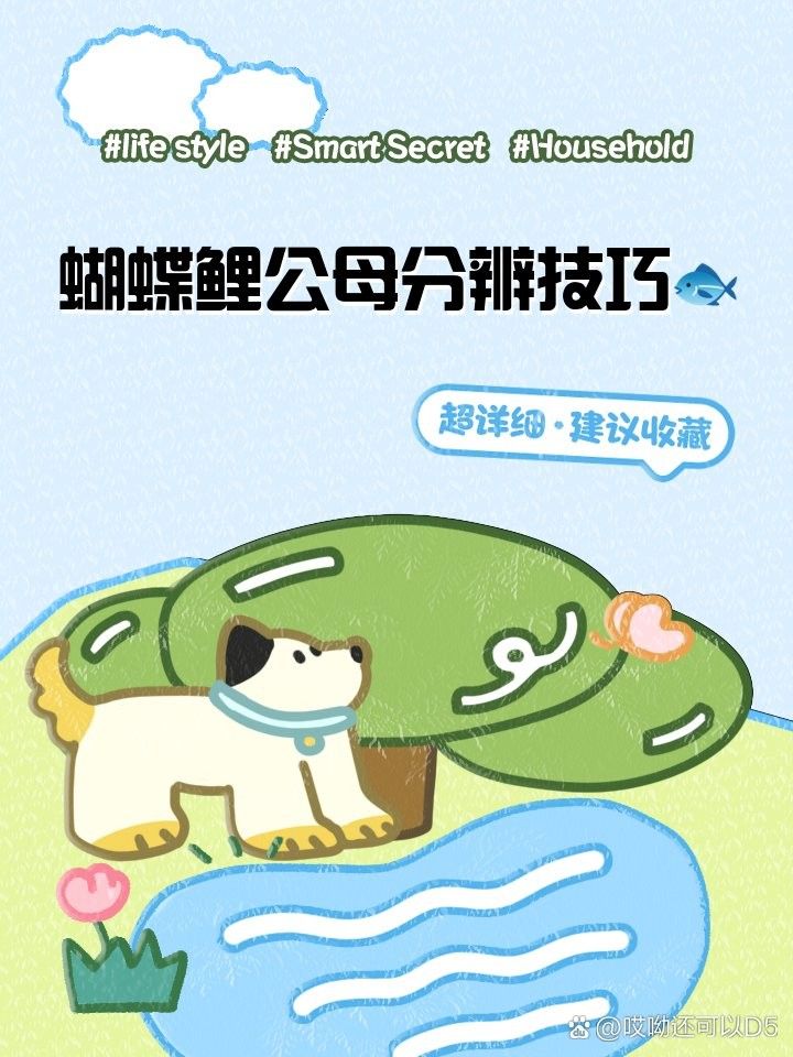 如何判斷蝴蝶鯉的雌雄（如何判斷蝴蝶鯉的性別）