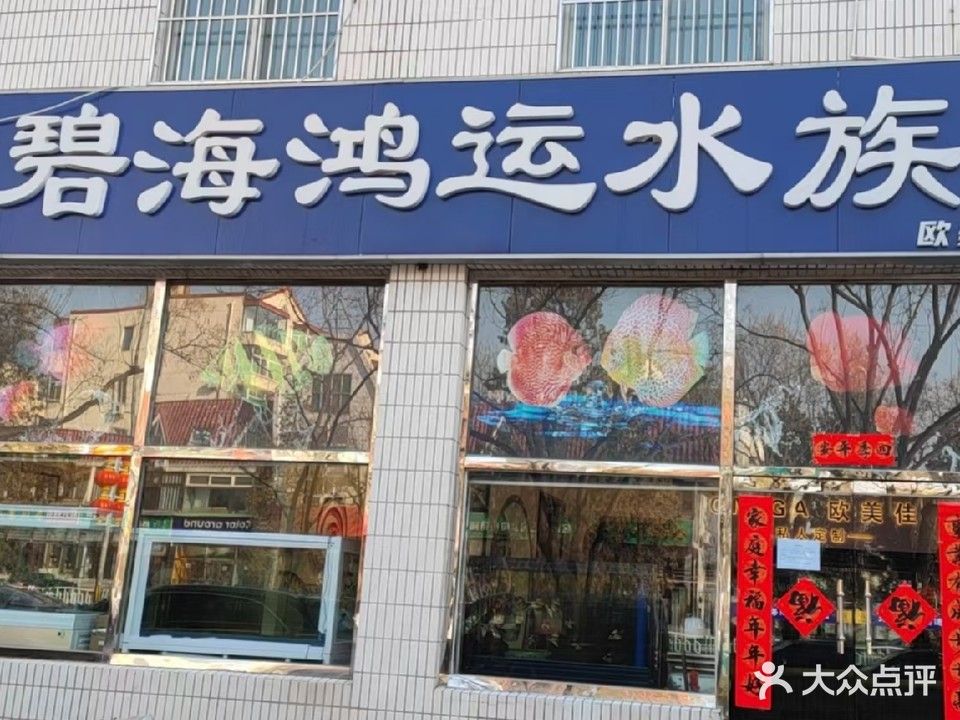 懷柔哪個水族館龍魚好？祥龍魚場龍魚（廣州龍魚祥龍魚場)廣州龍魚祥龍魚場）