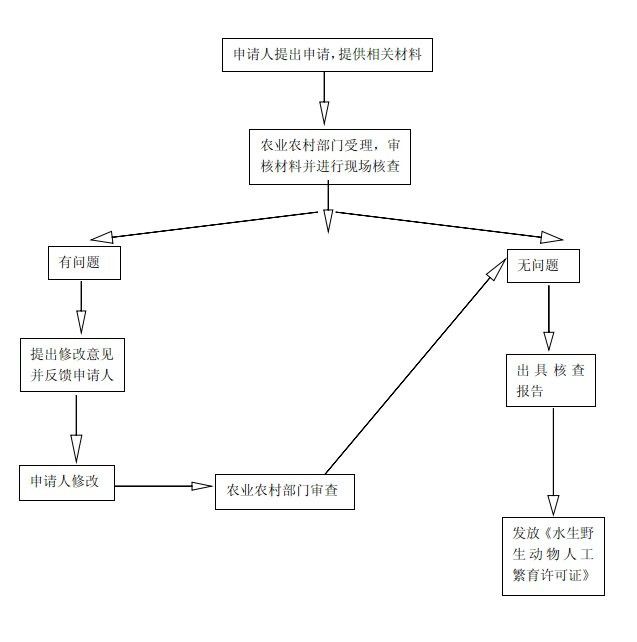 布奇美拉龍魚證書的申請流程