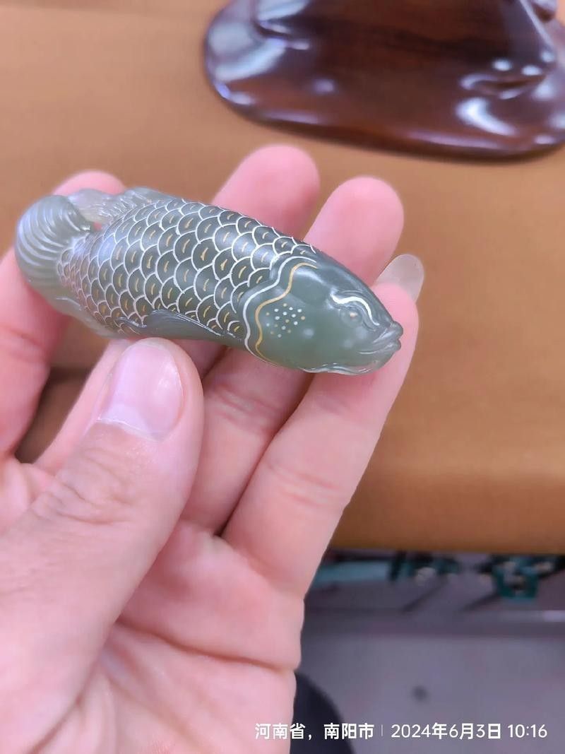 給我一張24K金龍魚(yú)的視頻