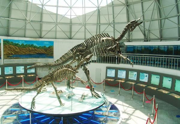 伊春哪個水族館龍魚好？祥龍魚場龍魚 伊春哪個水族館龍魚好？祥龍魚場龍魚 龍魚百科 第2張