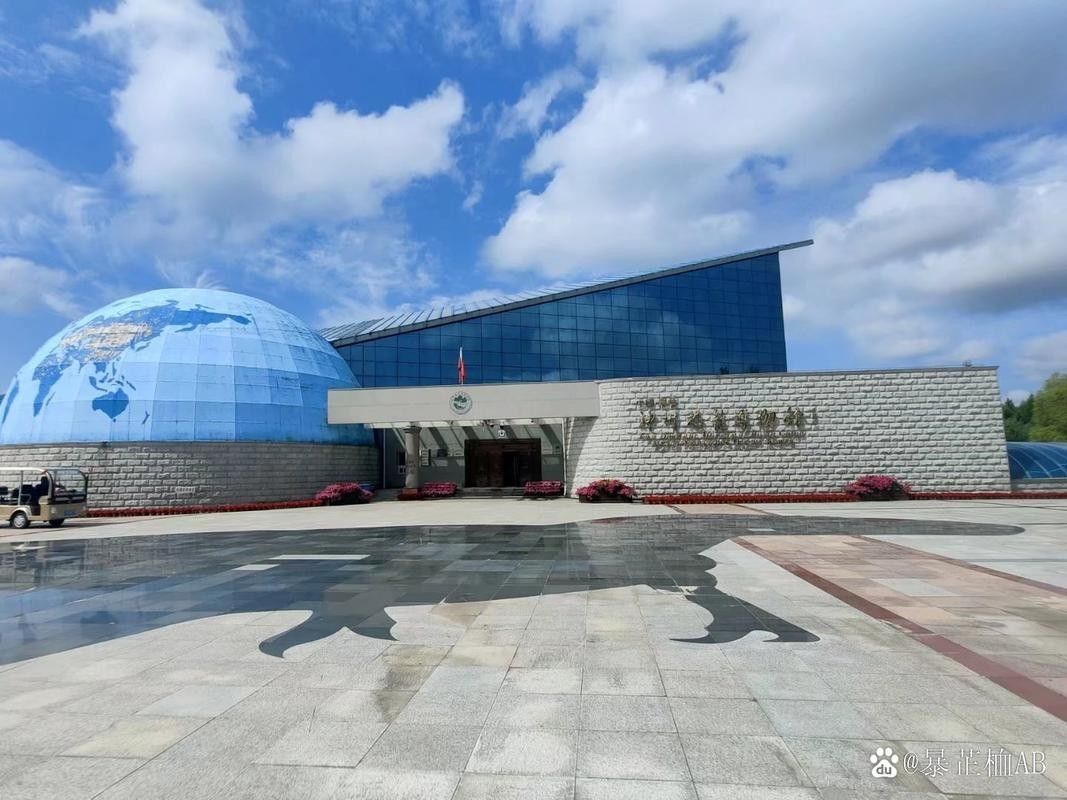 伊春哪個水族館龍魚好？祥龍魚場龍魚 伊春哪個水族館龍魚好？祥龍魚場龍魚 龍魚百科 第3張