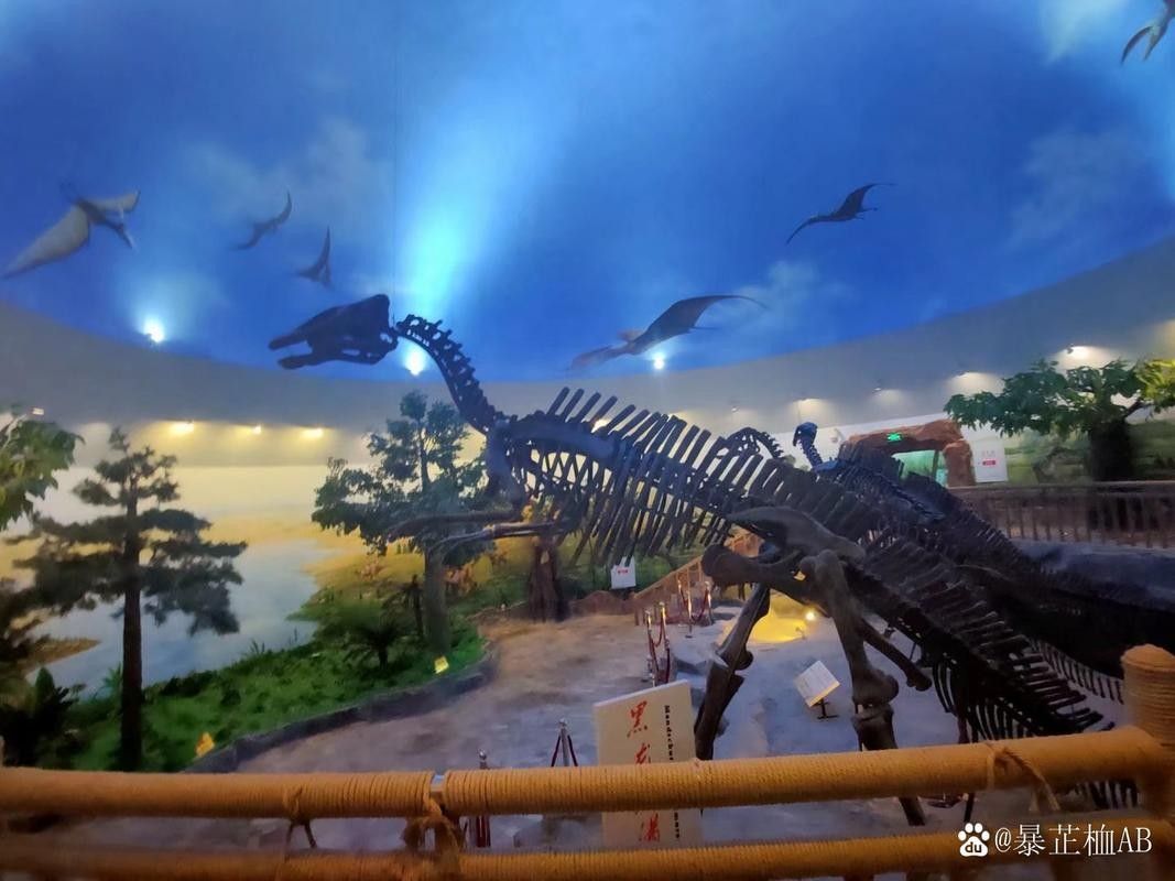 伊春哪個水族館龍魚好？祥龍魚場龍魚 伊春哪個水族館龍魚好？祥龍魚場龍魚 龍魚百科 第6張