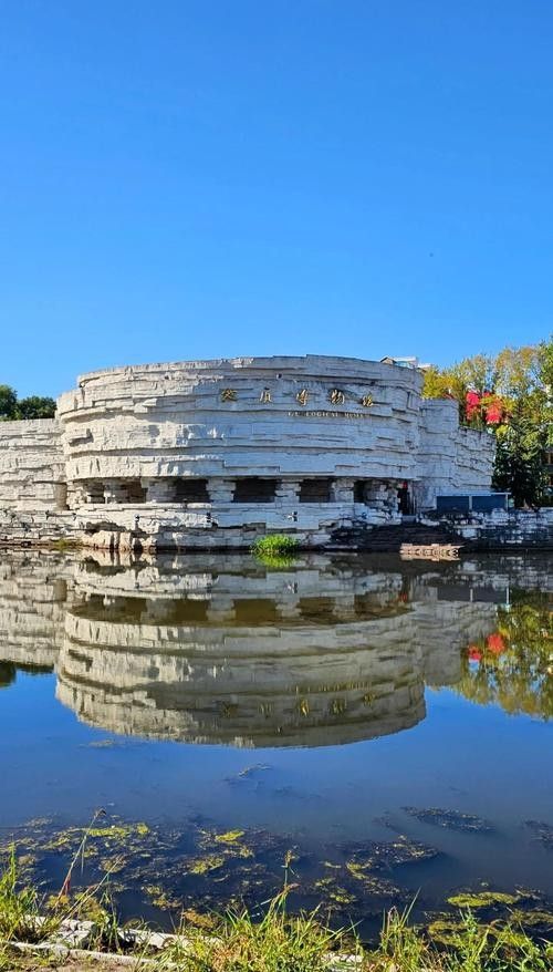 伊春哪個水族館龍魚好？祥龍魚場龍魚 伊春哪個水族館龍魚好？祥龍魚場龍魚 龍魚百科 第5張