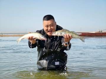 新疆雪龍魚好吃嗎（新疆雪龍魚是一種美味且營養價值高的魚類，值得參考）